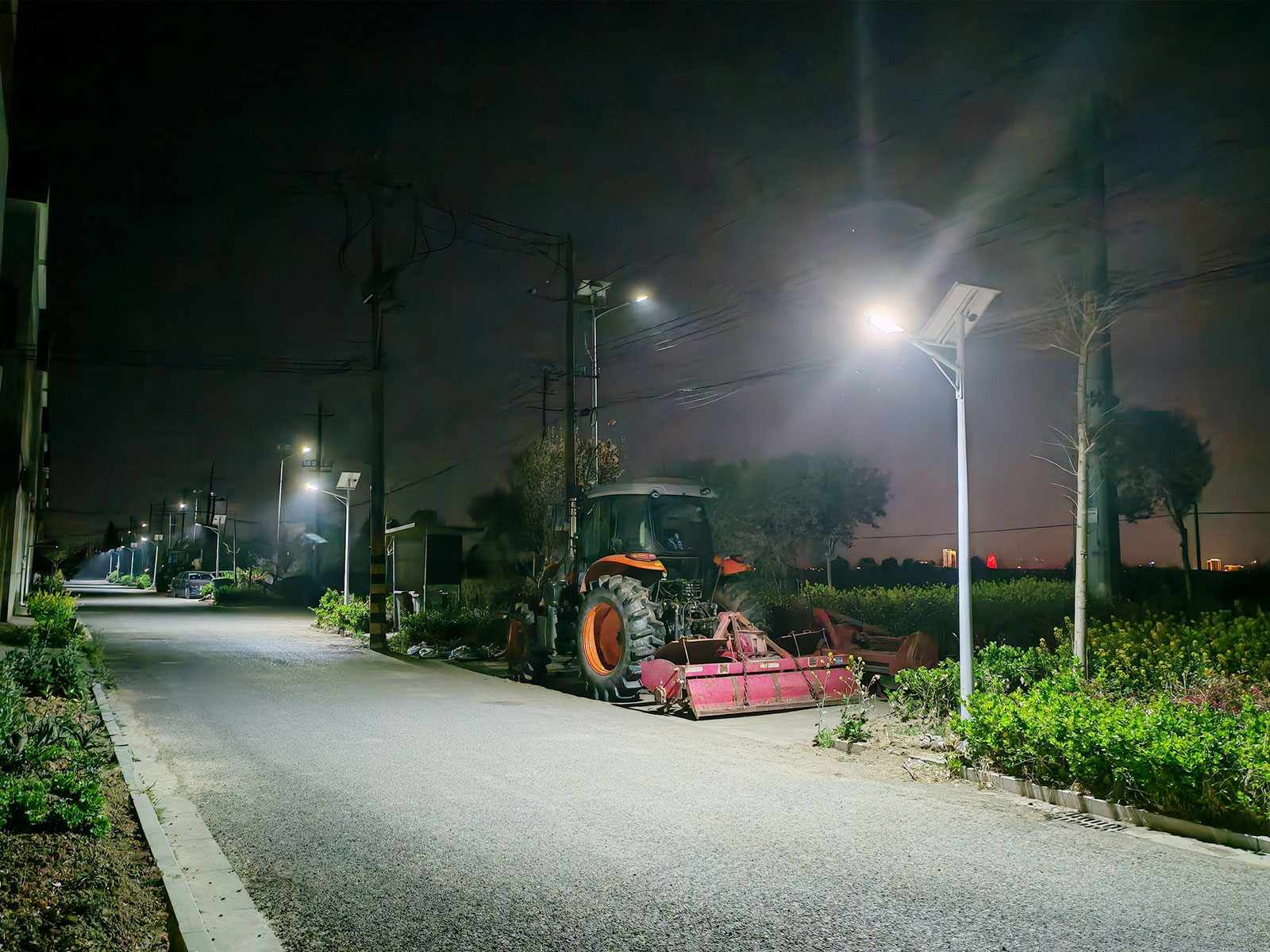 Street lights along a rural road at night